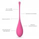 Foto 1: CONJUNTO DE BOLAS LESLIE KEGEL FIT PARA TREINO DO MUSCULO P�LVICO SET 6 PCS